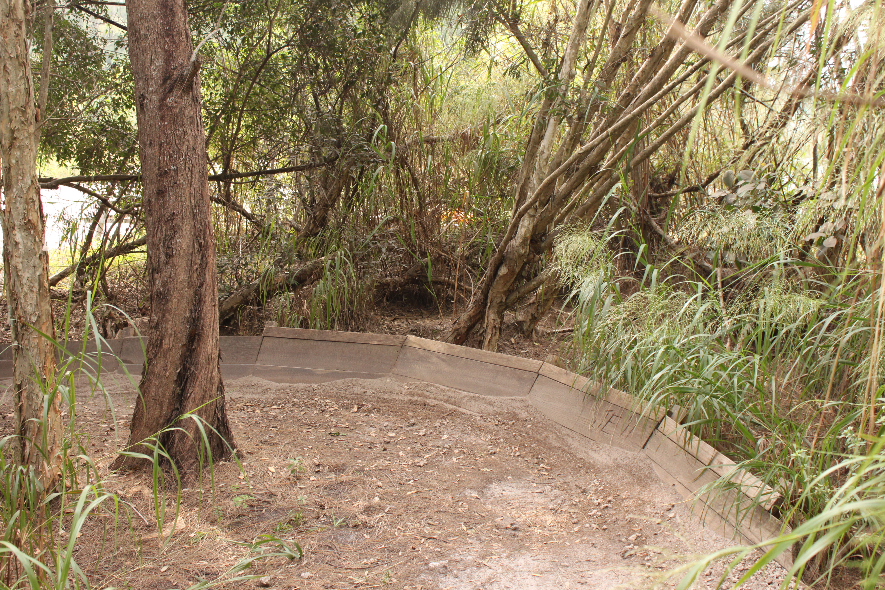 markham park bike trails